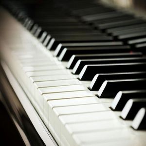 火影泳装图片(全透视)
