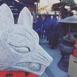 火影泳装图片(全透视)
