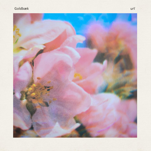 火影泳装图片(全透视)
